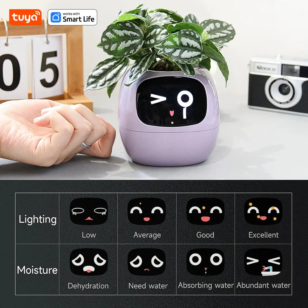 Tuya Ivy Smart Planter with 49 Expressions and 7 Sensors