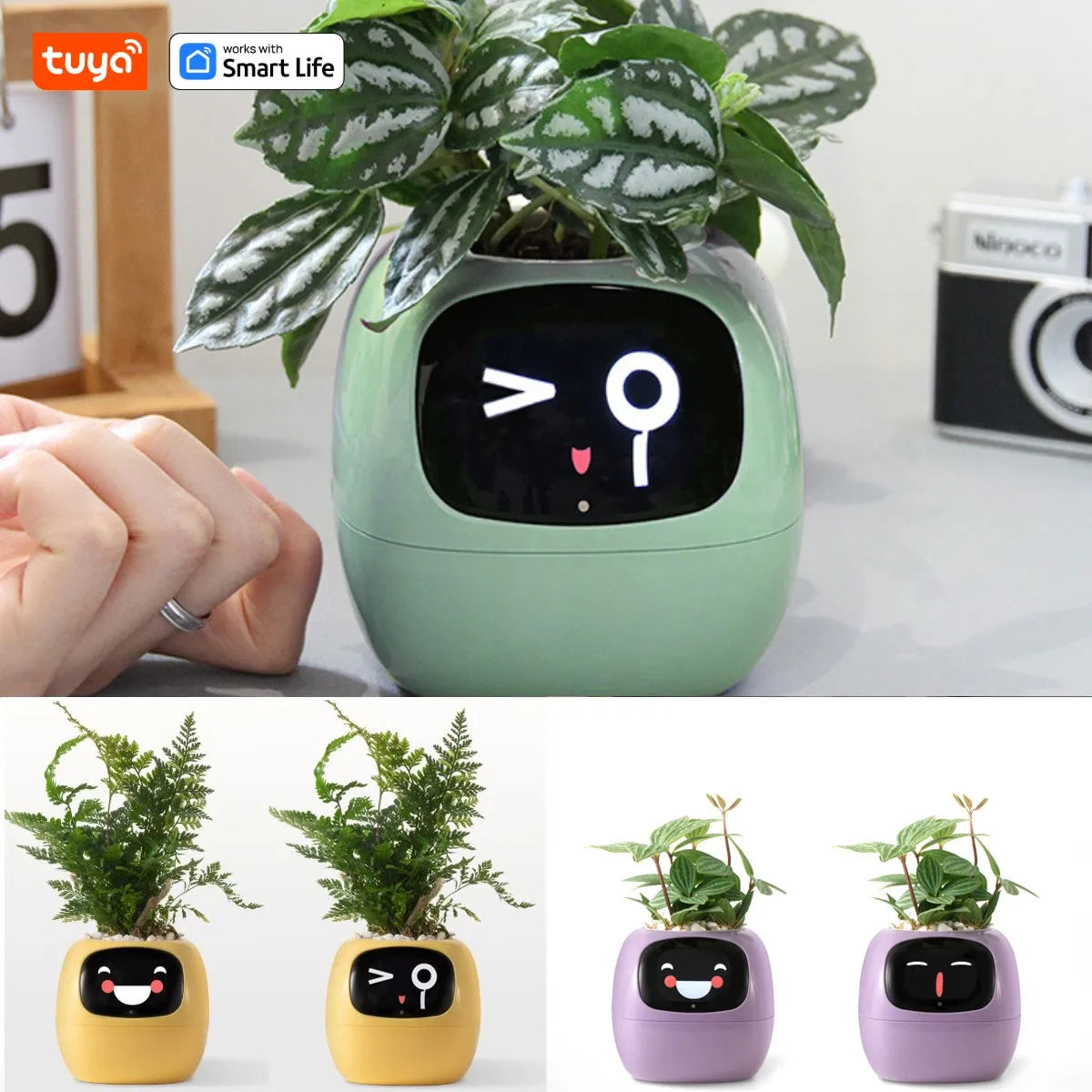 Tuya Ivy Smart Planter with 49 Expressions and 7 Sensors